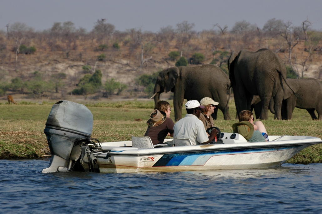 Chobe river safari (Botswana)