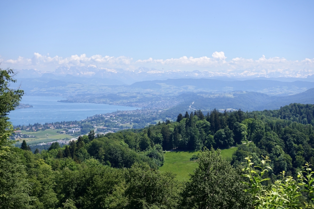 View of Albis mountain chain with Alps in the background 
