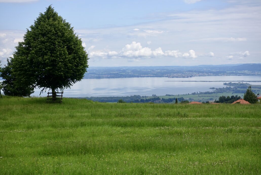 view of Lake Constance from Gasthaus zur Fernsicht Heiden Switzerland foodie destination