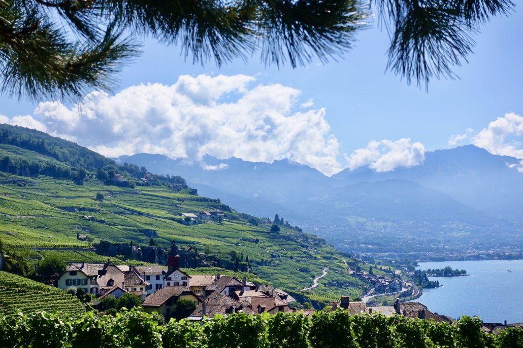 Lavaux vineyards near Lausanne on Lake Geneva Switzerland