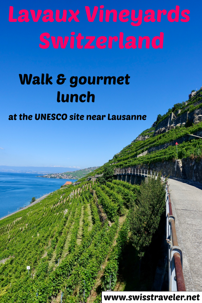 Lavaux vineyards Lake Geneva Switzerland, walk & gourmet lunch