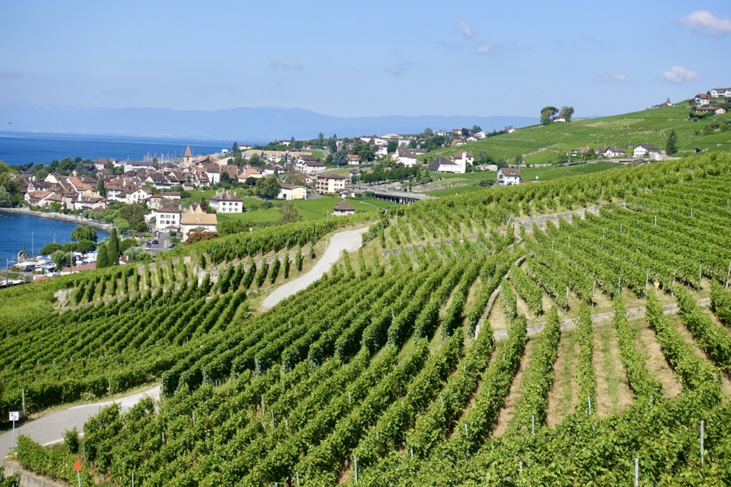 Lavaux vineyards Lake Geneva Switzerland