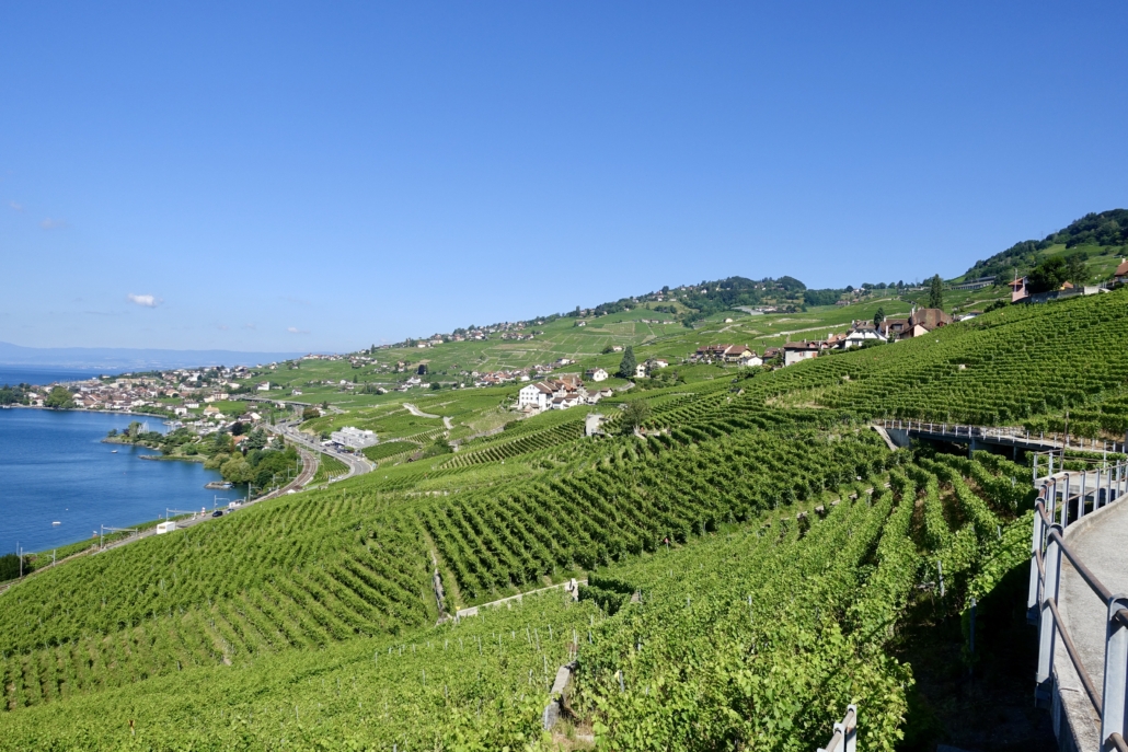 Lavaux vineyards Lake Geneva Switzerland - the place for an easy hike & gourmet lunch