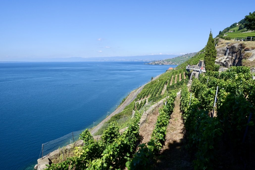 Lake Geneva/Switzerland, from Lavaux vineyards