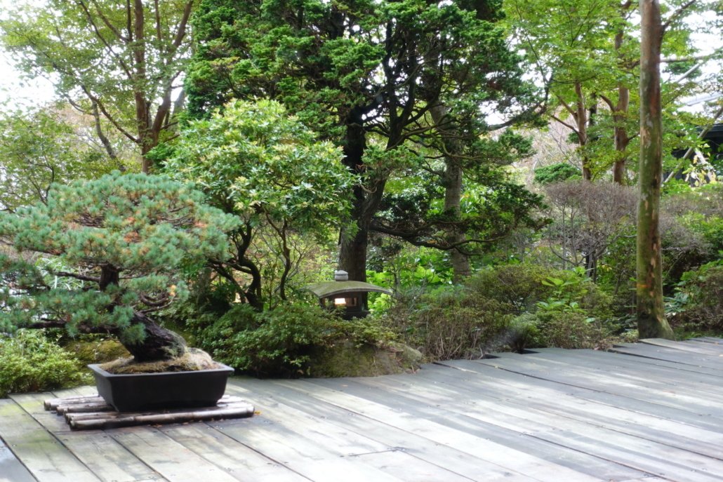 ryokan experience in Japan: luxury Madoka no Mori in Hakone, here outdoor area