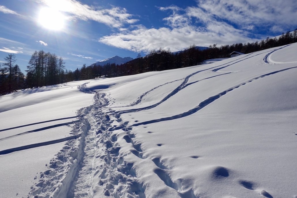 Zuoz Upper Engadine Switzerland: winter hiking