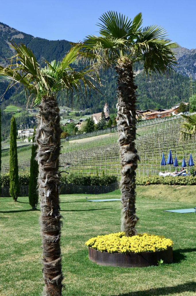 Hotel Castel Tirolo near Merano Italy view from hotel of Tirolo - luxury hotels in Merano