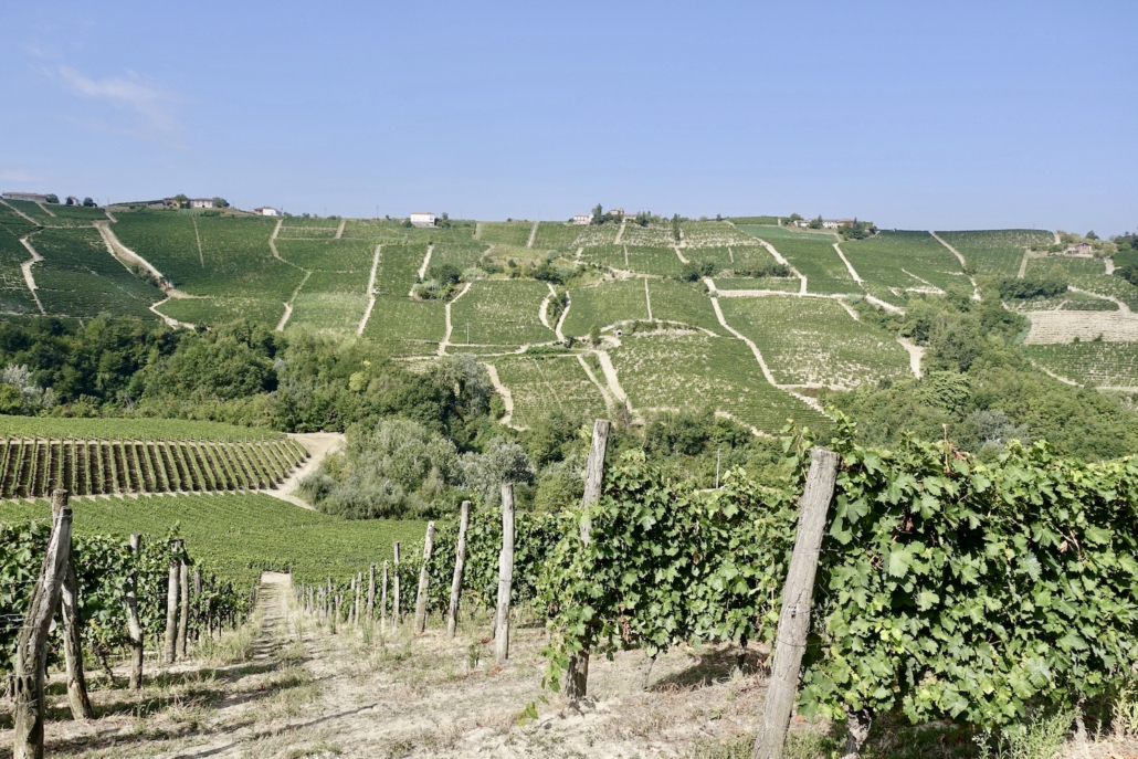 Langhe wine region Piedmont, Italy