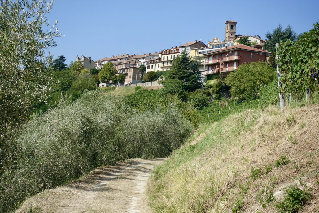 Castiglione Tinella Piedmont's Langhe region, Italy 