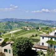 What to do in Piedmont's Langhe region - view of Piedmont's rolling vineyard hills from Neive
