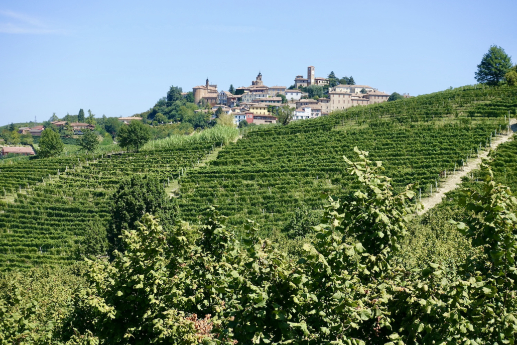 What to do in Piedmont's Langhe region - Neive, Italy