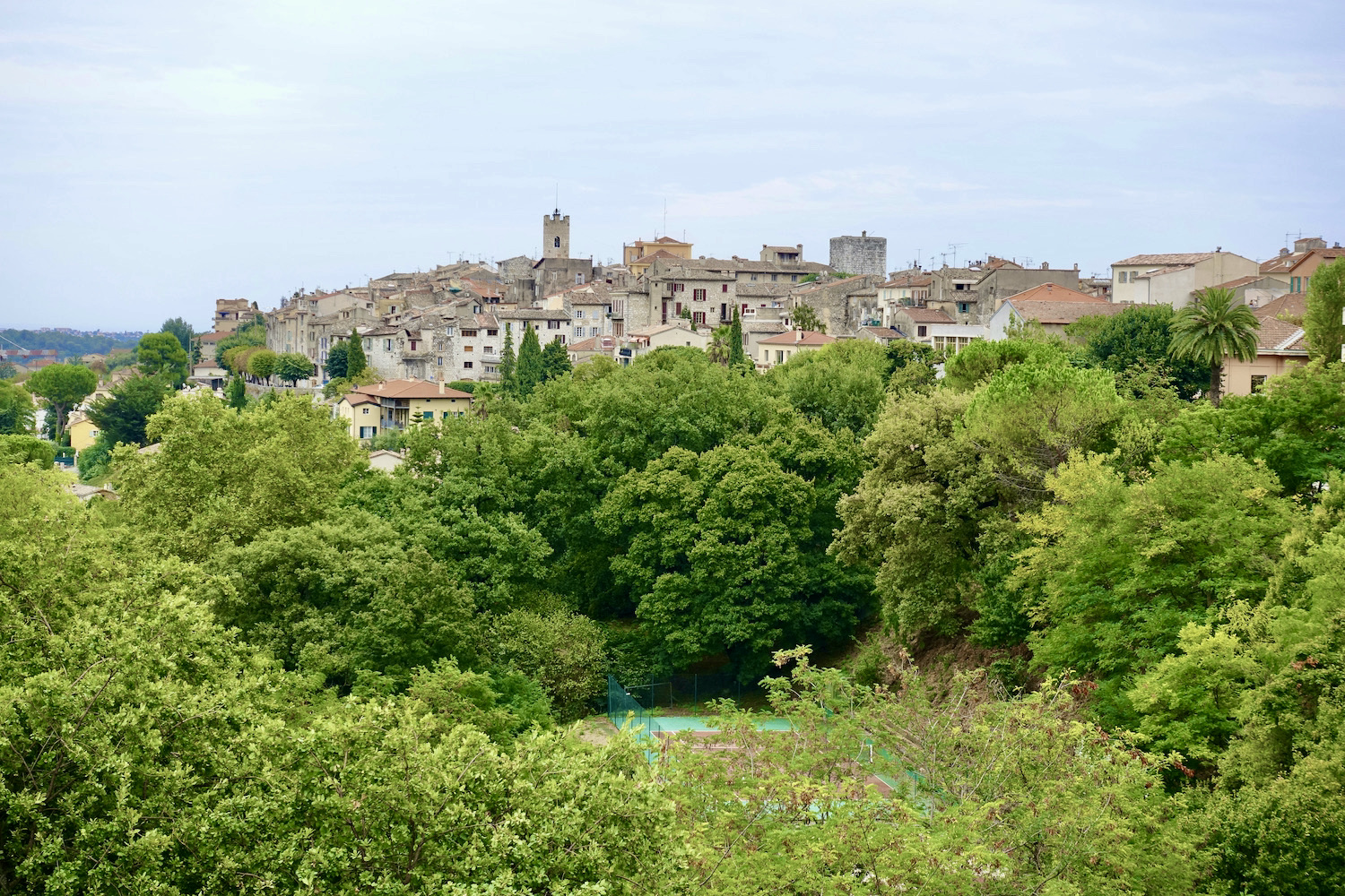 walks in the French Riviera: Vence