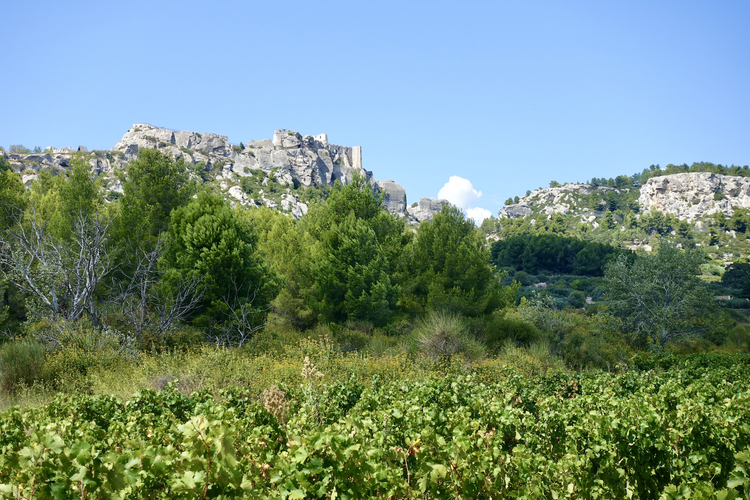 Les Baux-de-Provence Nature Park of the Alpilles France