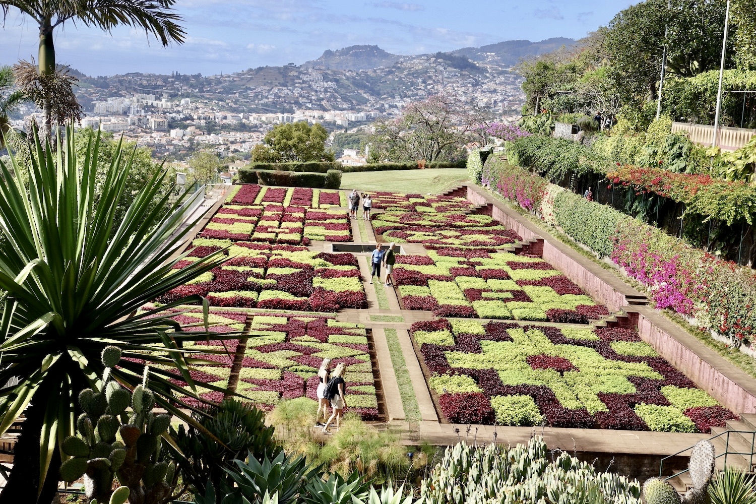 Madeira Botanical Gardens in the front, Funchal in the back