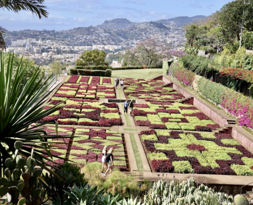 Madeira Botanical Gardens - visit Madeira
