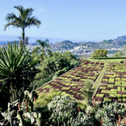Madeira Botanical Gardens - visit Madeira