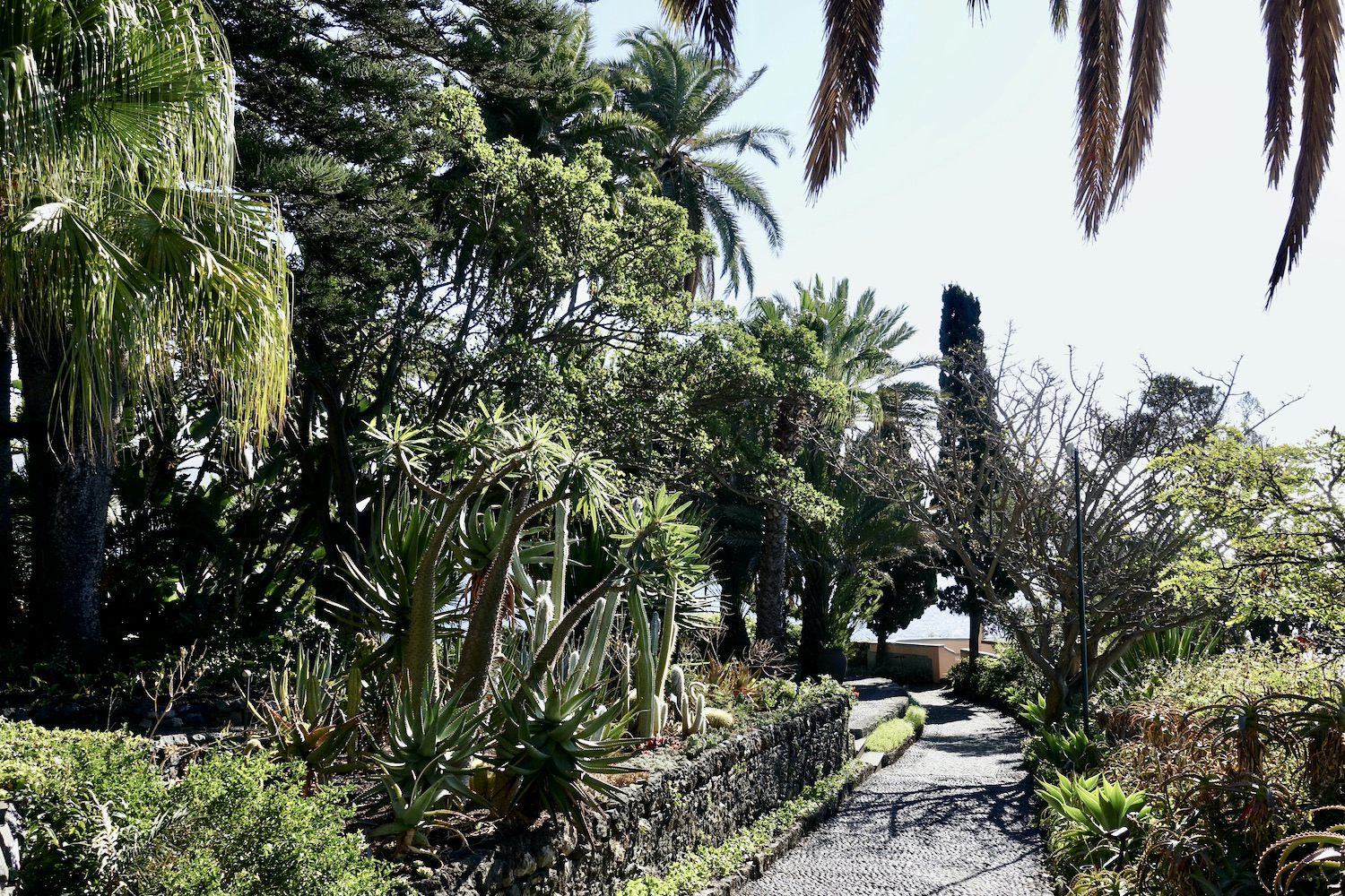 botanical gardens at Reid's Palace in Madeira, Portugal