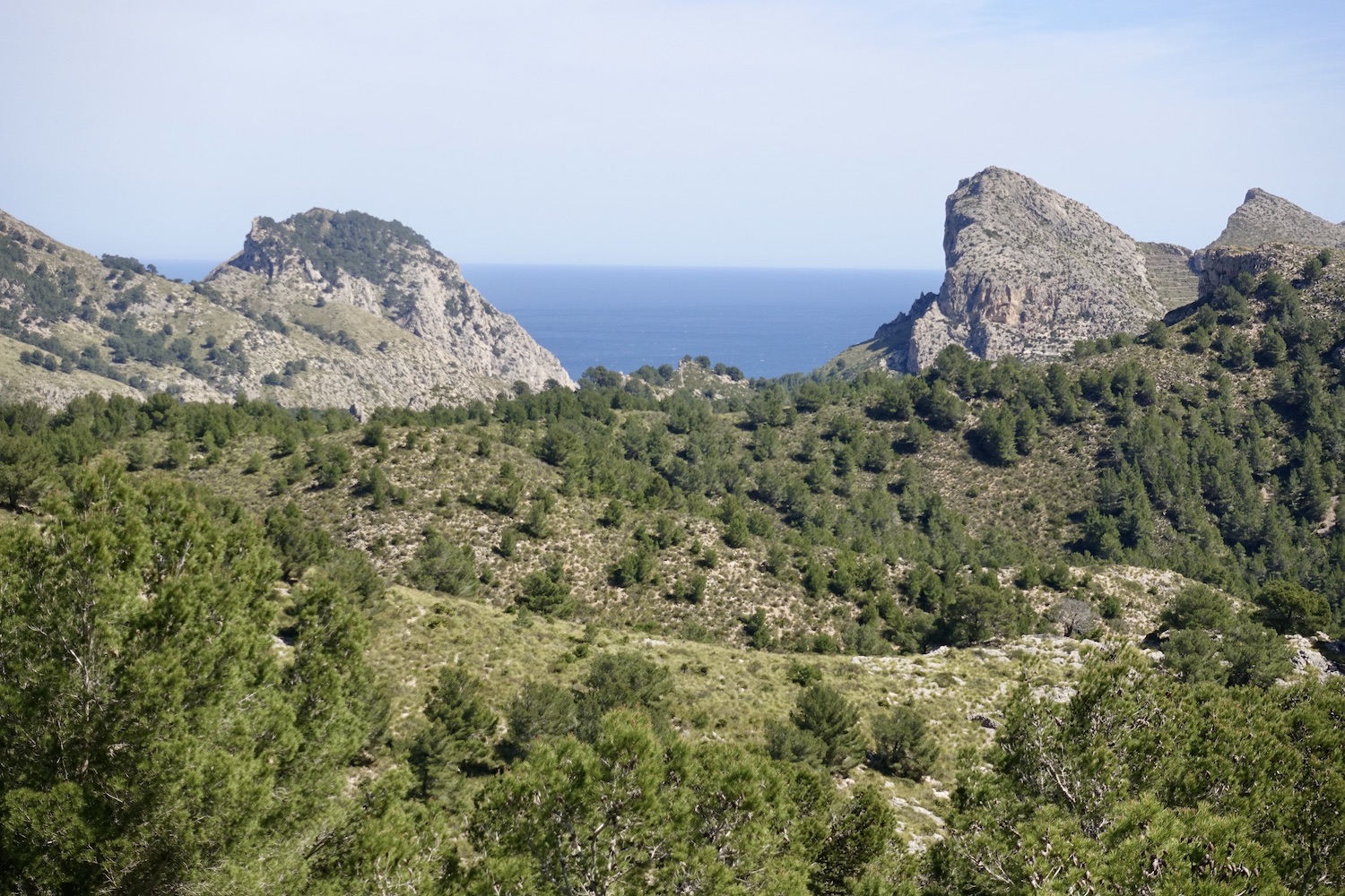 Formentor pensinsula Mallorca/Spain