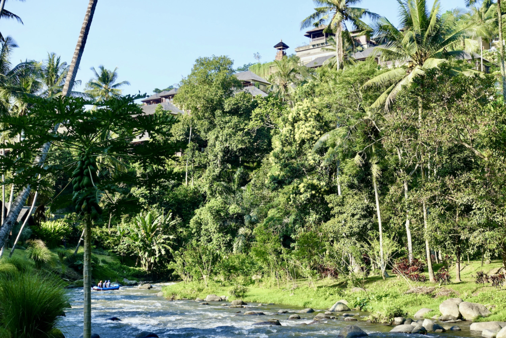 Ayung river Ubud Bali from Hotel Mandapa