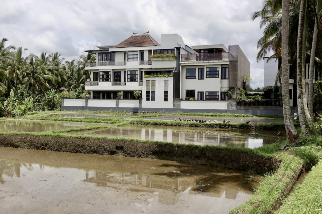 boutique hotel in rice fields Ubud Bali