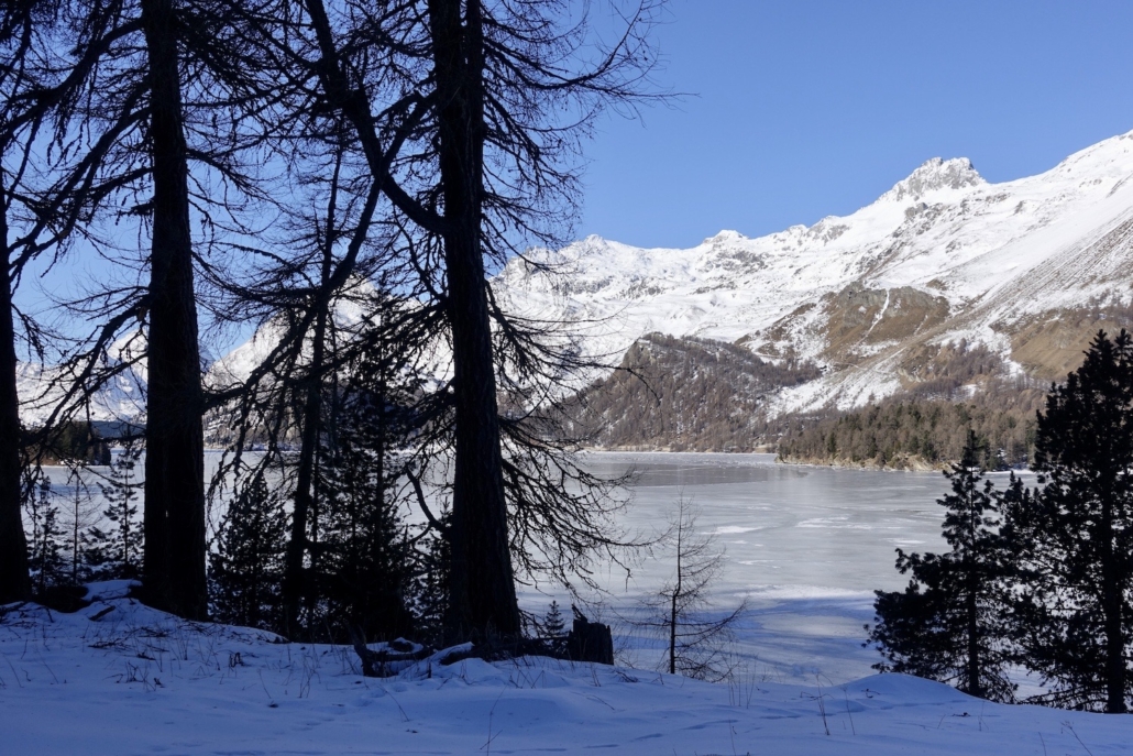 Lake Sils Switzerland - winter walks Engadine