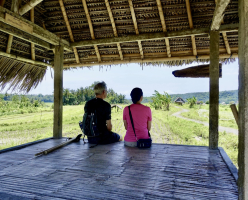 rice field walking in Bali - travel update Swiss Traveler