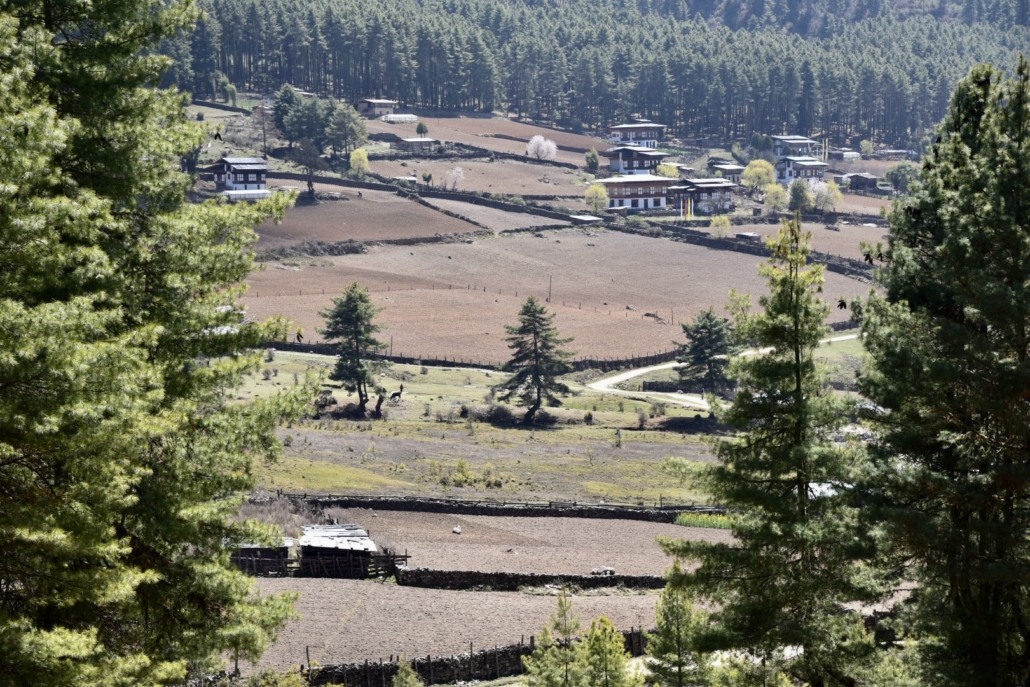Phobjikha Valley Bhutan