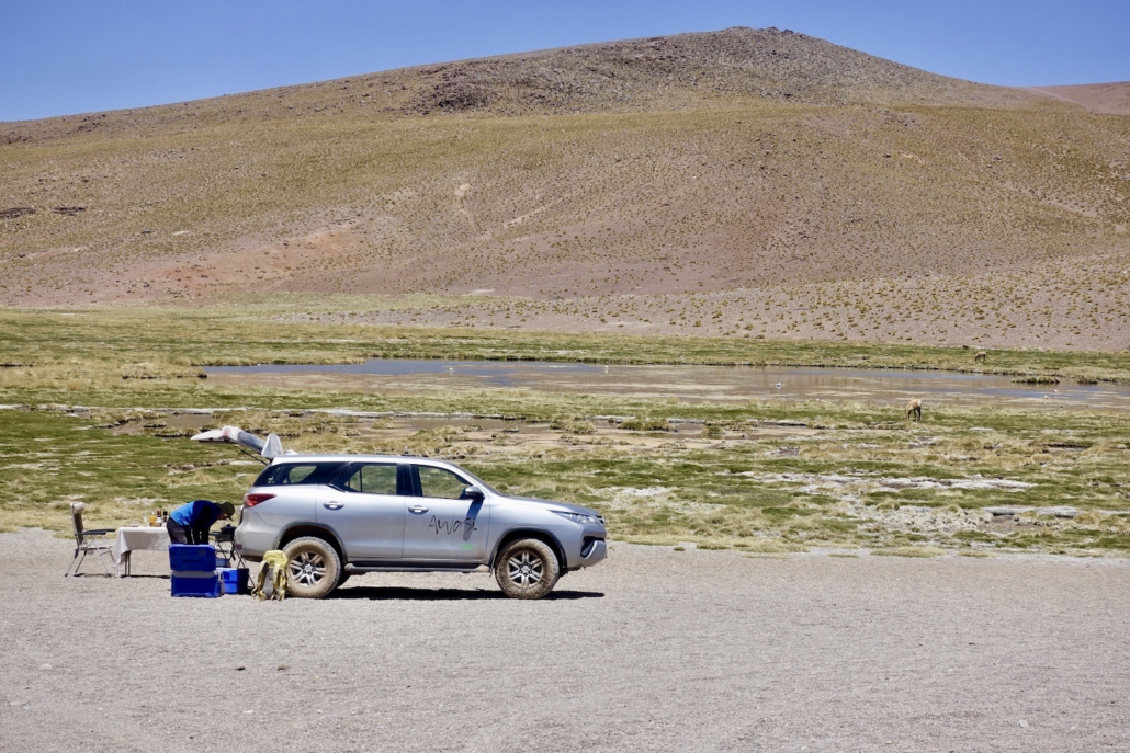 excursion to Tatio Geysers & picnic by Awasi Atacama/Chile - luxury hotel Atacama