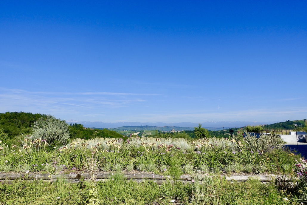 garden at Hotel Casa di Langa Piedmont/Italy 