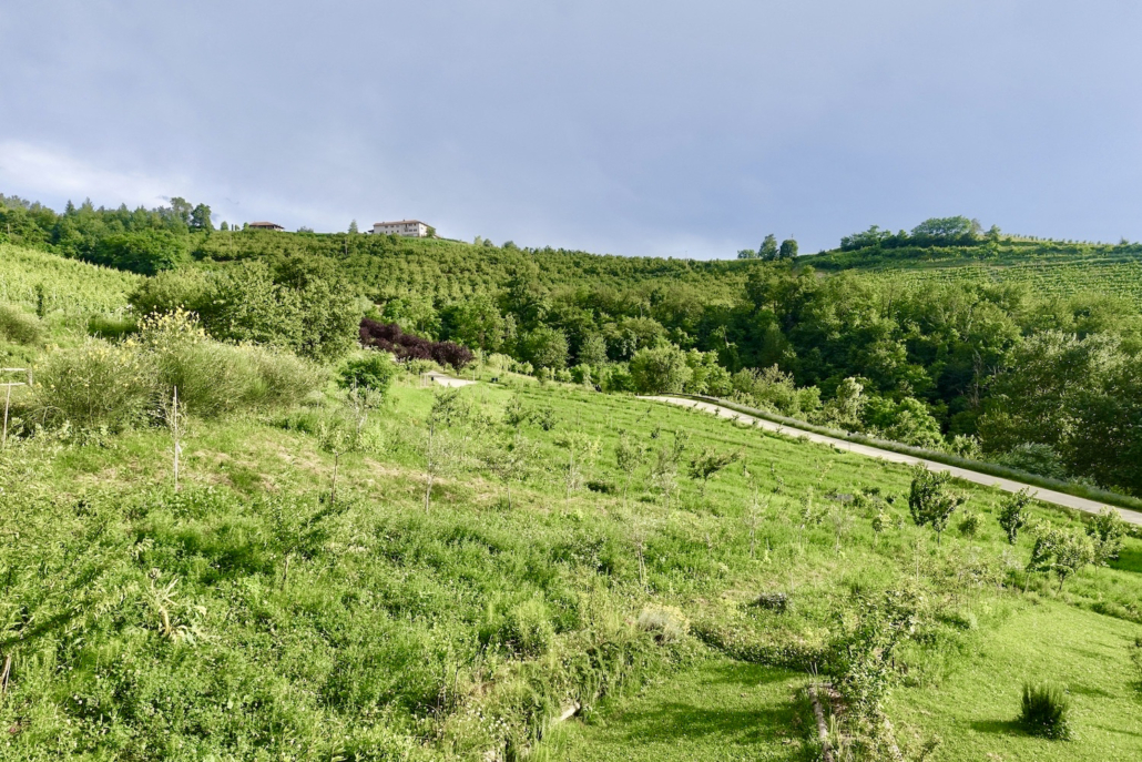 view from Classic Room at Casa di Langa Piedmont/Italy - best luxury hotel Langhe