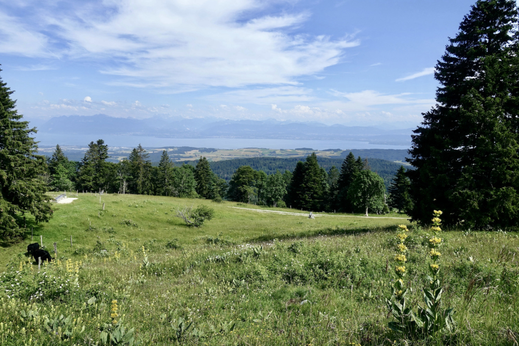 Lake Geneva from Vallée de Joux west Switzerland