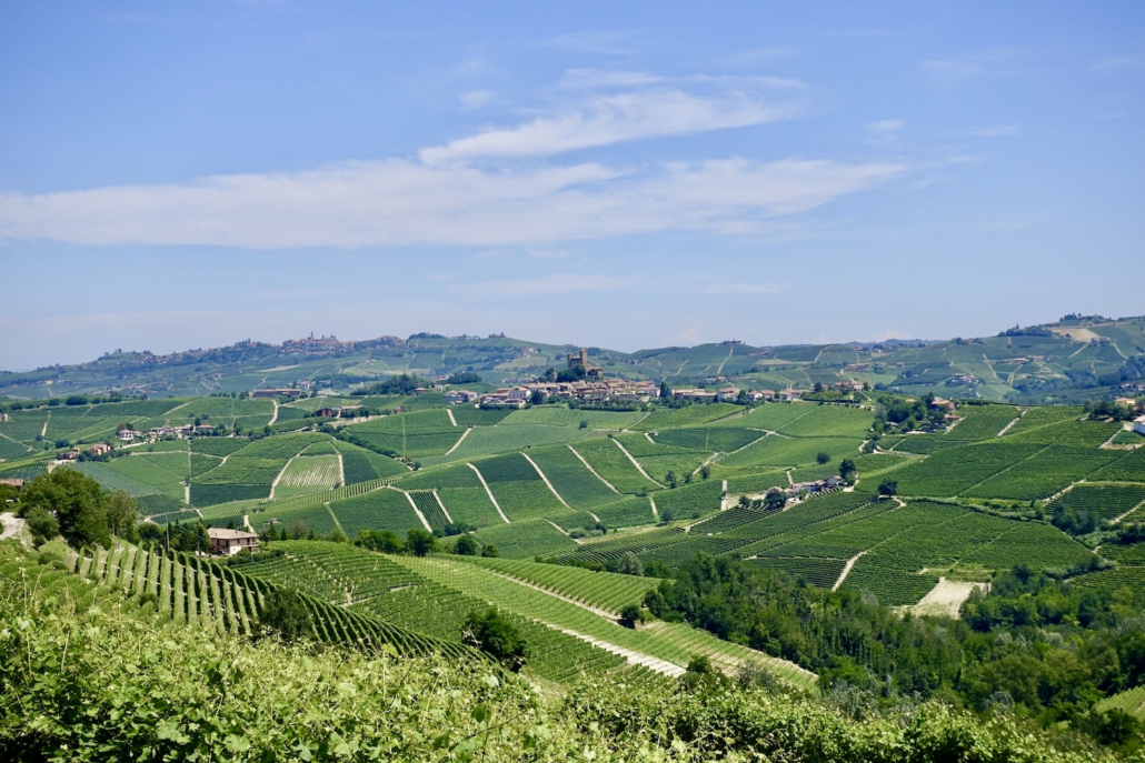 Serralunga d'Alba Langhe Piedmont/Italy - activities Langhe