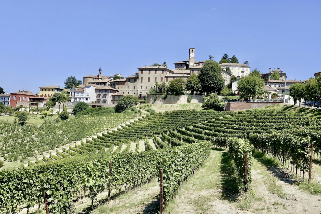 Neive Langhe Piedmont/Italy 