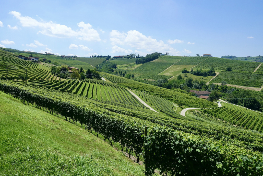 around Treiso Langhe Piedmont/Italy - activities Langhe