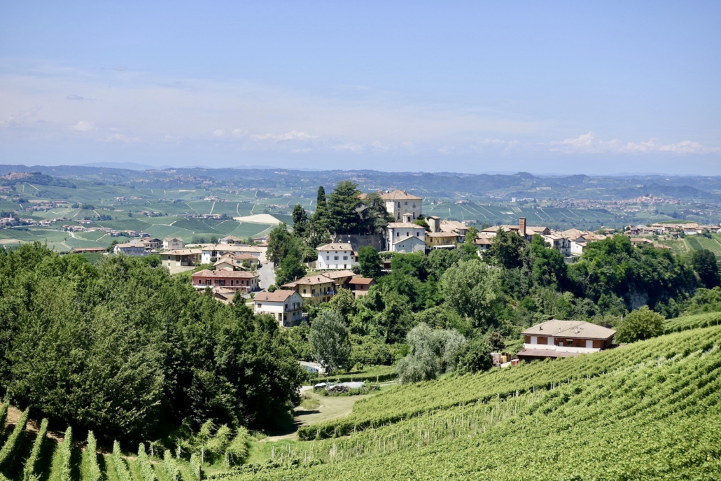 Perno Langhe Piedmont/Italy