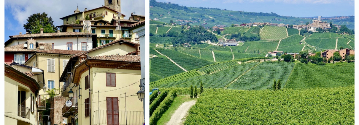 Monforte d'Alba & Langhe wine region Piedmont/Italy - activities Langhe