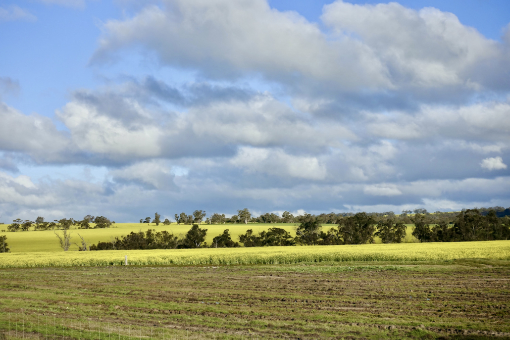 Wheatbelt Western Australia - Western Australia itinerary